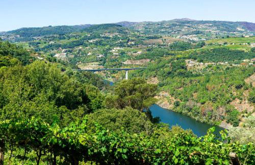 Cherry Douro Hill - Foto 2