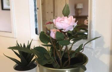 Coastguard Cottage Retreat on Lincolnshire Coast - Photo 13