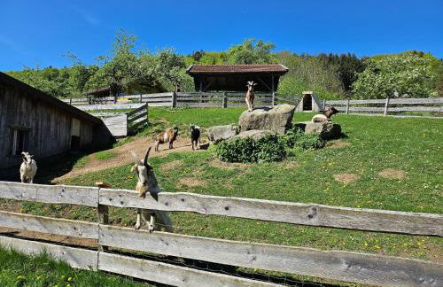 Ferienwohnung "Kräuterhof" - Foto 41