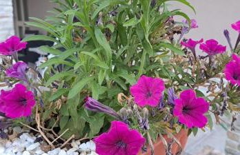 An&Gy house - Photo 22