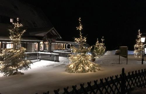 Berggasthof Heuberghaus, direkt am Rennsteig - Foto 24