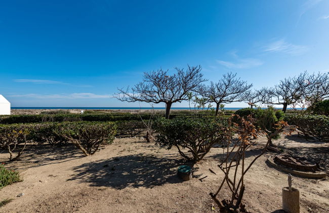 Les Cyclades - Photo 29