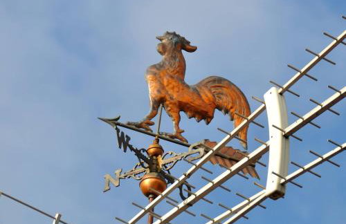 Agroturystyka Pod Kogutem - Foto 50