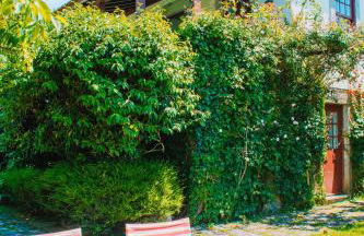 Just Like Home - Casa do Cruzeiro - Foto 13