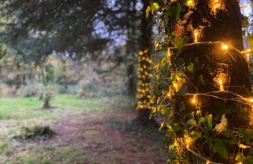 Woodland Lodge Aberporth - Foto 17