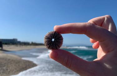 Khroma Luxury Suite 2 Beach front apartment - Photo 41