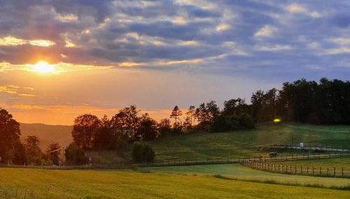 Alb - Lotte - Foto 2