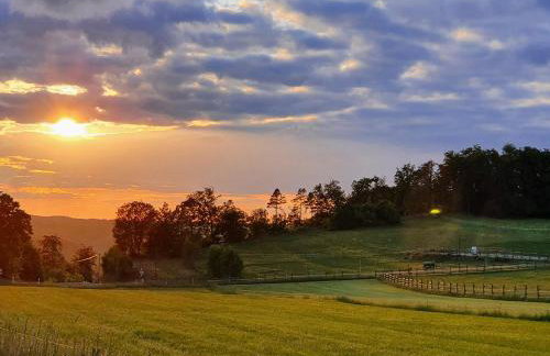 Alb - Lotte - Foto 2