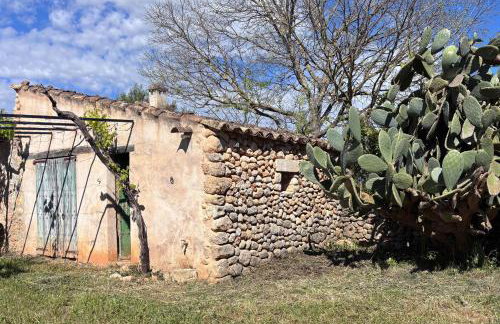 Bonita casa de campo Sa Vinya para relax y piscina privada - Foto 53