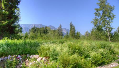 Ferienwohnung Haus Rieder Inzell - Foto 5, Garden view