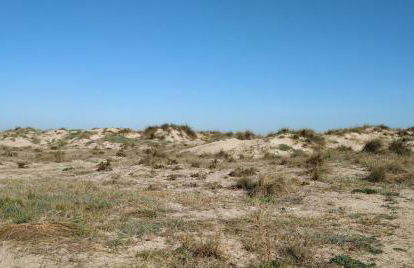 Casa Playa Les Bassetes - Photo 17