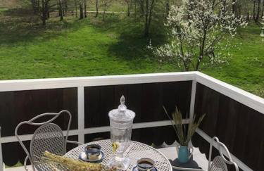 W Karkonoszach na Chacie jacuzzi, sauna, bilard, leśny park - Foto 1