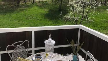 W Karkonoszach na Chacie jacuzzi, sauna, bilard, leśny park - Foto 1, Garden