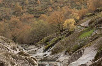 El arroyo del valle - Foto 78