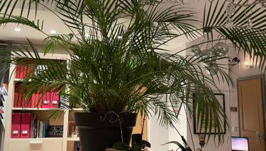 chez la Berthe Colmé - Foto 3