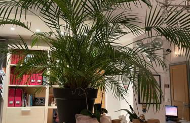 chez la Berthe Colmé - Foto 3