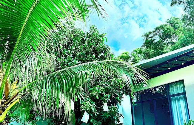 HOMESTAY HALONA - Photo 5