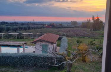 Agriturismo Casale San Benedetto - Foto 72