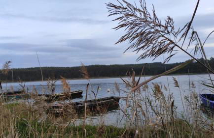 Casa D Amélia - Foto 41