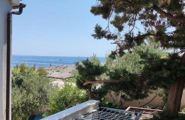 Robinson Stevica - Photo 11