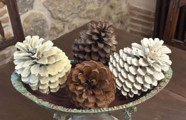 D' Anta Casa de la Luz - Photo 12