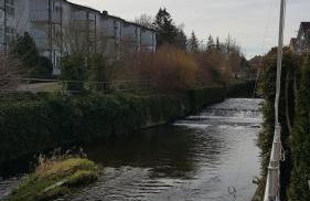 Burgauer Hof - Foto 32