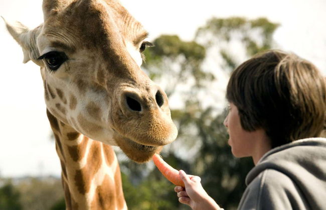 Biglietti per lo Zoo Taronga - Foto 4