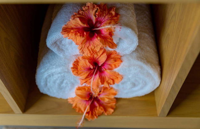 Paradise Chalets Yoga & Wellness - Photo 68