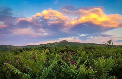 Haytor Court, Haytor, Dartmoor - The Moor on Your Doorstep - Foto 1