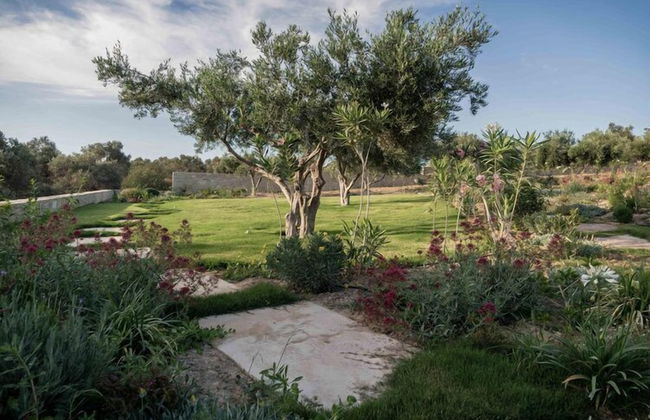 White Grace - Foto 11