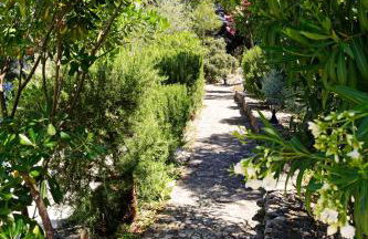 Villa Goga - Photo 56