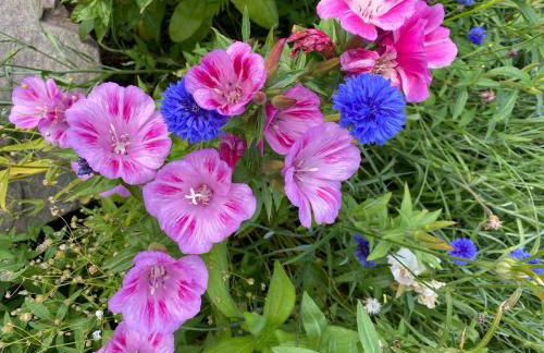 The Smiddy House - Foto 15