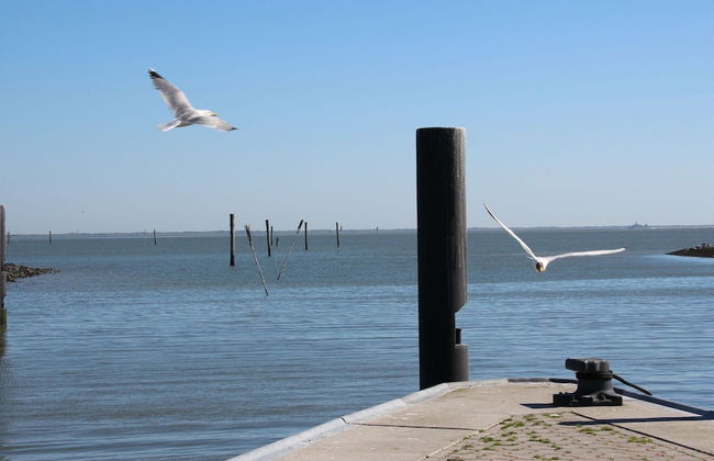 Greetjehaus mit Garten, Nahe Strand, Dornumersiel - Photo 12