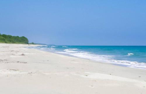 Monte Santu T2 - Foto 46