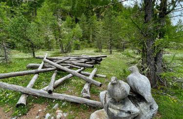 Residence Flora - Photo 45