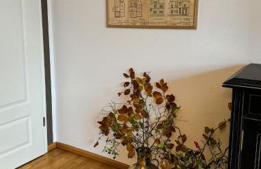 Villa Herzog - Foto 24