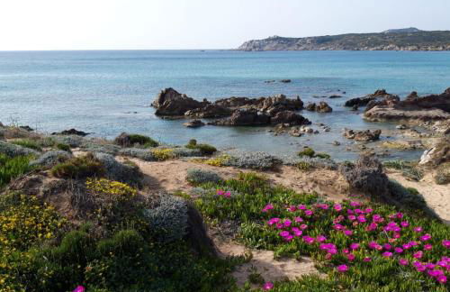 CASA VACANZE PAOLA SARDEGNA - Foto 36