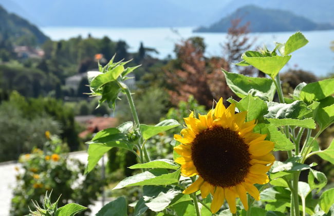 Agriturismo Il Colle - Foto 65