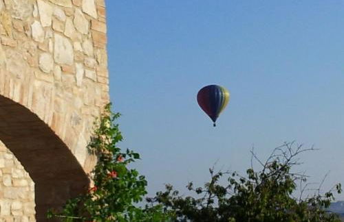 Agriturismo La Torraccia - Foto 8