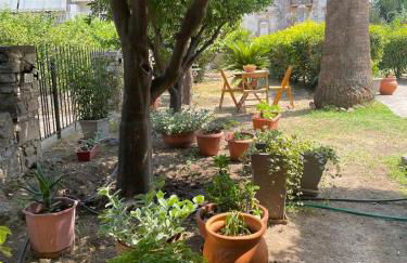 Peculiar Garden Apartment - Photo 9