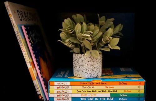 Modernized Historical Home in Downtown Medina with Hot Tub - Foto 47