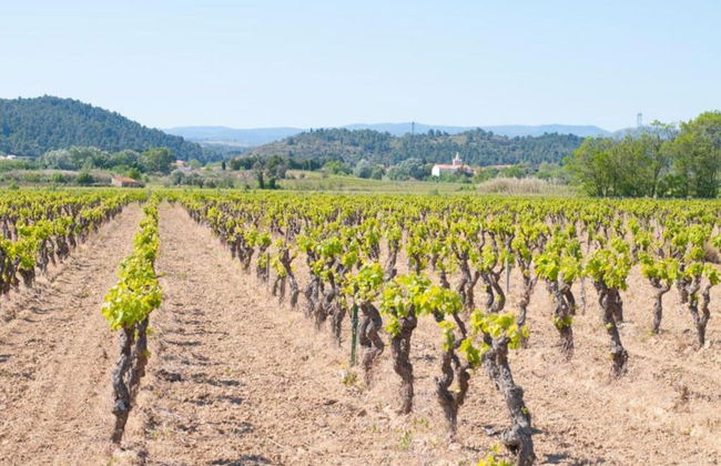 Charming Home by River Allier Hiking Trails - Foto 41