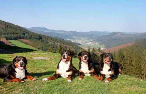 Apartment Schmalzenhof by Interhome - Foto 44