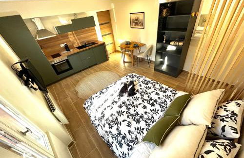 Studio proche Cancéropôle et Univ Jean Jaurès - Foto 3