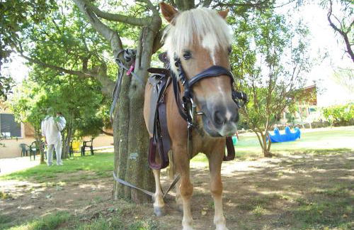 Agriturismo Il Paradiso - Foto 50