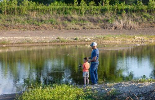 Honey Farms - Foto 22