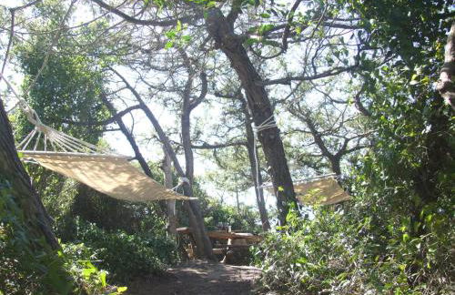 Vacanze Toscane In The Country - Villa Agrifogli - Foto 40