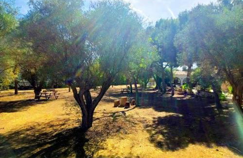 Villa La Gran Duquesa - Foto 41