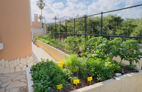 Villa Rafael - Foto 17