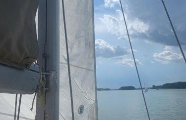 Między Brzozami - Foto 42